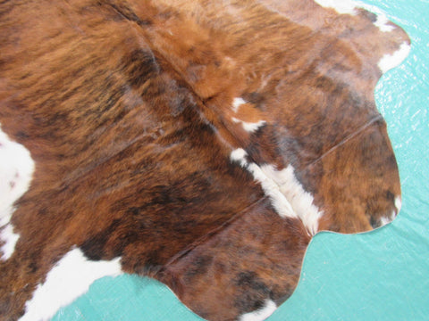 Tricolor Cowhide Rug (mostly brindle with white belly) Size: 5.5x5.5 feet M-1226