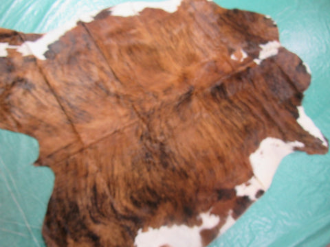 Tricolor Cowhide Rug (mostly brindle with white belly) Size: 5.5x5.5 feet M-1226