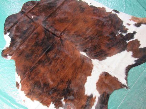 Tricolor Cowhide Rug (mostly brindle with white belly) Size: 5.2x5.5 feet M-1227