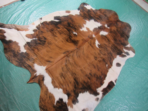 Nice Light Tone Tricolor Cowhide Rug Size: 5.5x5.2 feet M-1242