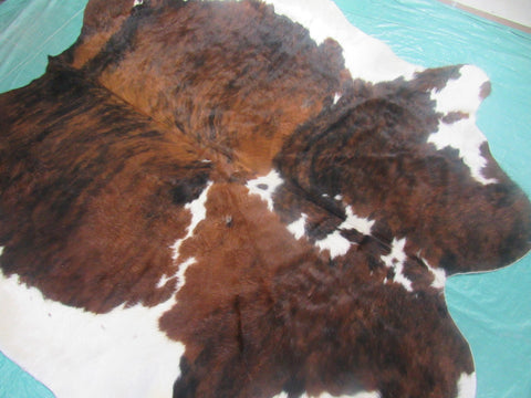 Tricolor Cowhide Rug Size: 7x6.7 feet M-1244