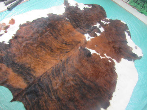 Tricolor Cowhide Rug Size: 7x6.7 feet M-1244