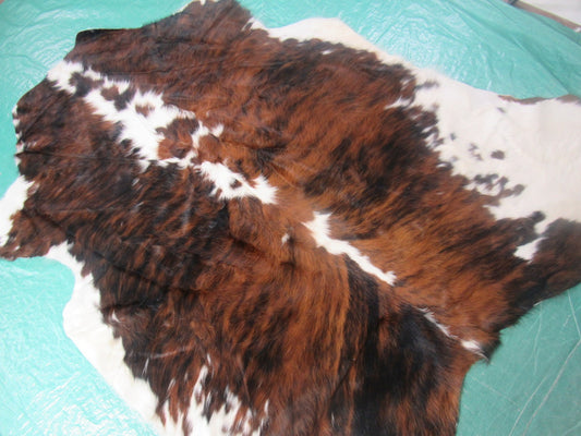 Magnifique tapis en peau de vache tricolore Taille : 6x5,5 pieds M-1248