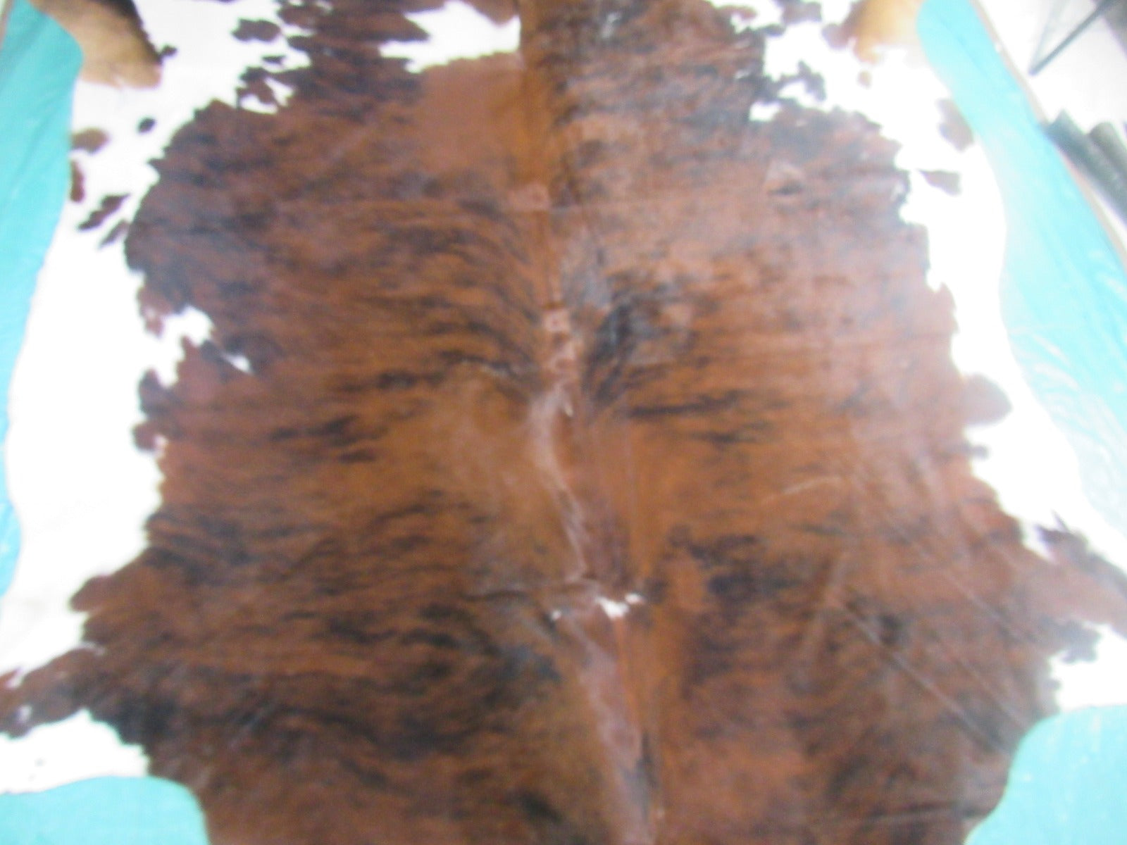 Tricolor Cowhide Rug (1 scar) Size: 7.2x7 feet M-1252