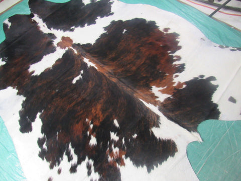 Huge Gorgeous Tricolor Cowhide Rug Size: 8x7 feet M-1255