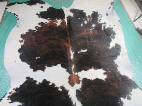 Huge Gorgeous Tricolor Cowhide Rug Size: 8x7 feet M-1255