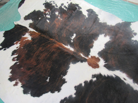 Huge Gorgeous Tricolor Cowhide Rug Size: 8x7 feet M-1255