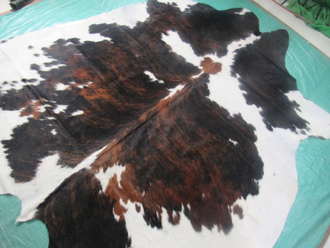 Huge Gorgeous Tricolor Cowhide Rug Size: 8x7 feet M-1255