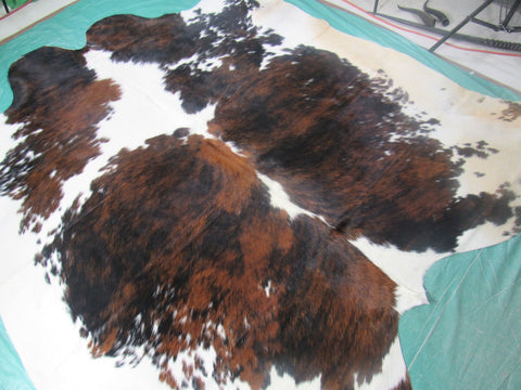 Huge Gorgeous Tricolor Cowhide Rug (absolutely HUGE/right belly is brown) Size: 7.5x7 feet M-1256