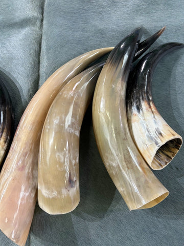 Ox Horn Shell 1 Polished Ox Horn – Cowhides USA