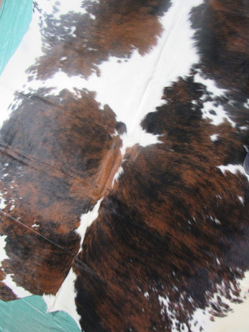 Huge Gorgeous Tricolor Cowhide Rug (absolutely HUGE/right belly is brown) Size: 7.5x7 feet M-1256