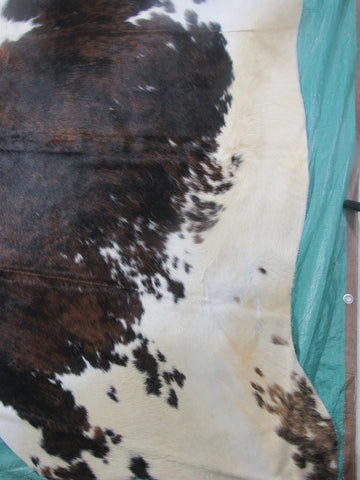 Huge Gorgeous Tricolor Cowhide Rug (absolutely HUGE/right belly is brown) Size: 7.5x7 feet M-1256