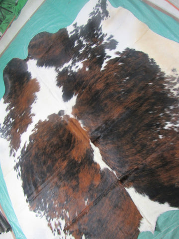 Huge Gorgeous Tricolor Cowhide Rug (absolutely HUGE/right belly is brown) Size: 7.5x7 feet M-1256