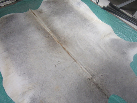 Grey Cowhide Rug (some beige mixed in and multiple fire brands) Size: 7.5x7 feet M-1257