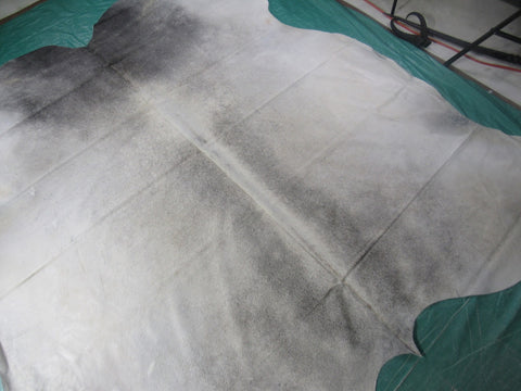 Grey Cowhide Rug (some small rubs with paint in repairs) Size: 7.2x6.7 feet M-1261