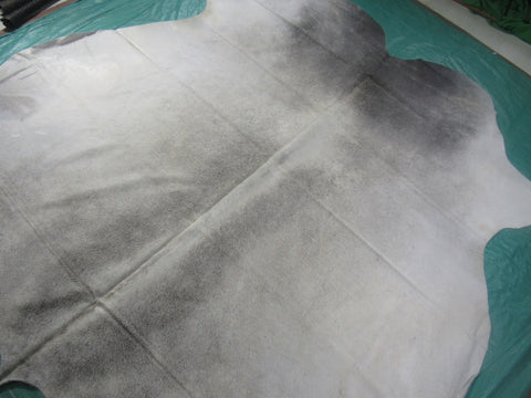 Grey Cowhide Rug (some small rubs with paint in repairs) Size: 7.2x6.7 feet M-1261