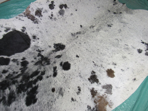 Salt & Pepper Black and White Cowhide Rug (some spots are brown/other black) - Size: 8x6.7 feet M-1263