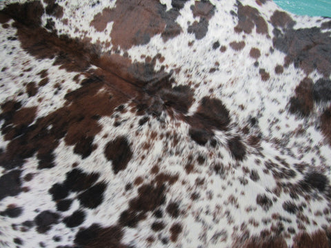 Speckled Tricolor Cowhide Rug Size: 8x7 feet M-1265