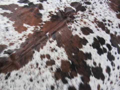 Speckled Tricolor Cowhide Rug Size: 8x7 feet M-1265