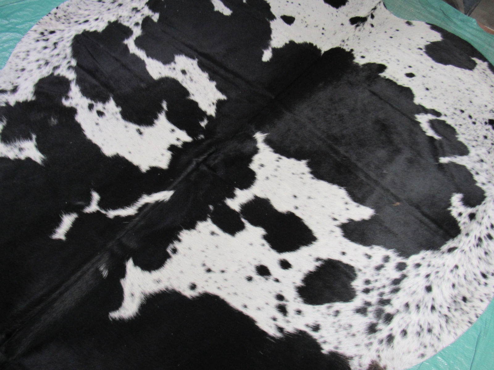 Spotted Black & White Cowhide Rug Size: 8x6.7 feet M-1269