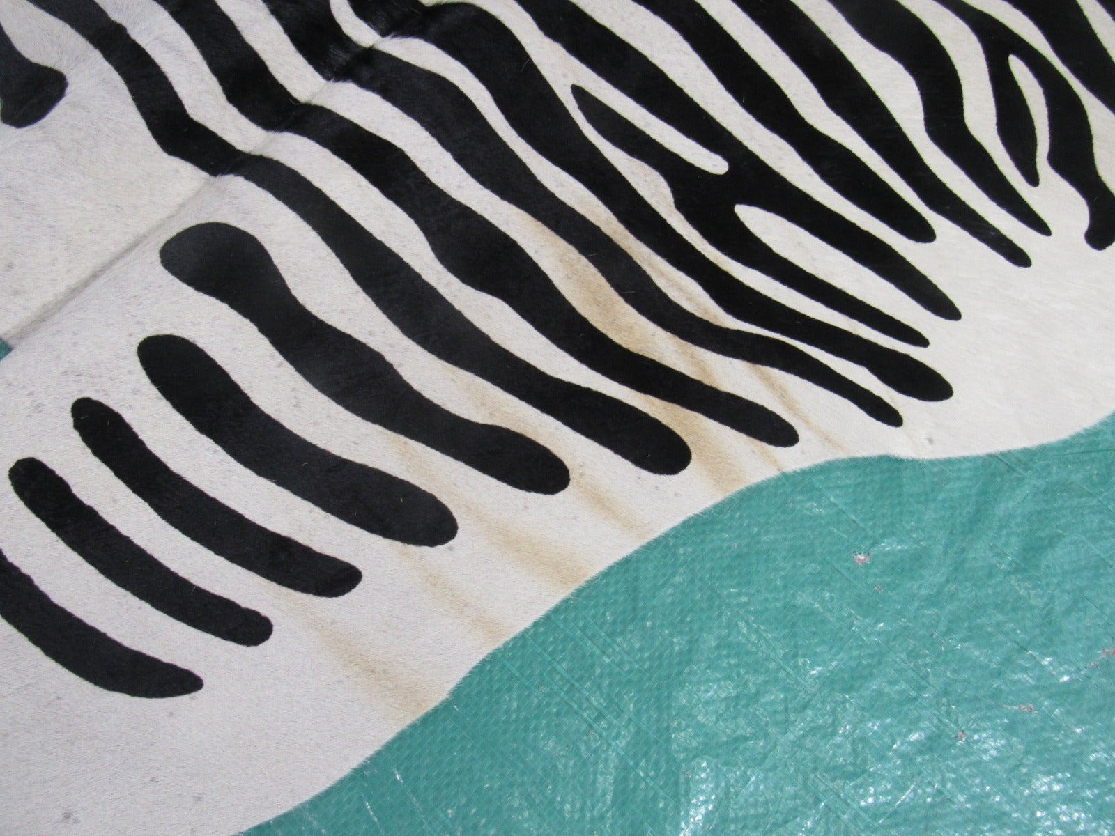 African Zebra Print Cowhide Rug Size: 7' X 6 1/2' Black/White Zebra Cowhide Rug C-1359