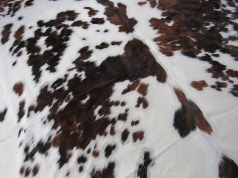 Huge & Nice Tricolor Cowhide Rug Size: 8x7.7 feet M-1301