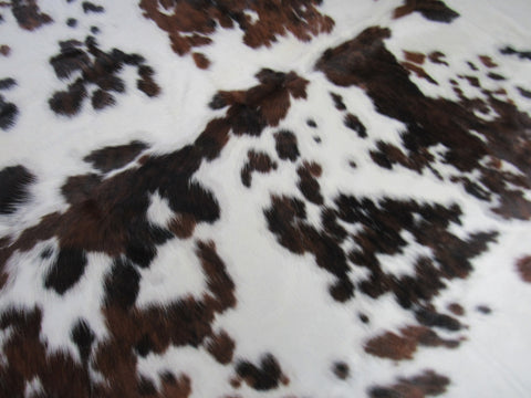 Huge & Nice Tricolor Cowhide Rug Size: 8x7.7 feet M-1301