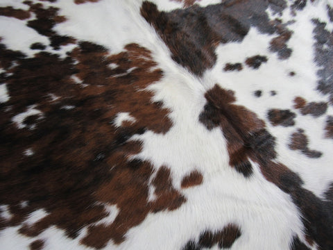 Huge & Nice Tricolor Cowhide Rug Size: 8x7.7 feet M-1301