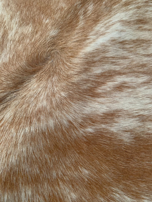 Beige Brindle Cowhide Rug Average Size 6 X 6 feet
