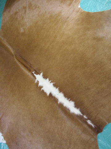 Hereford Cowhide Rug Size: 6x5 feet M-1310