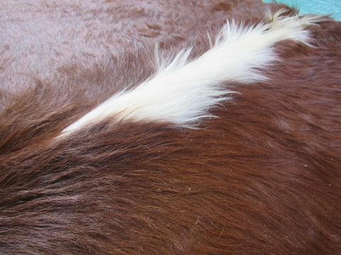 Hereford Cowhide Rug (Longish Hair/ Veggie Tanned) Size: 6.5x6.5 feet B-138