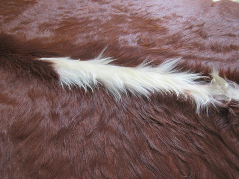 Hereford Cowhide Rug (Longish Hair/ Veggie Tanned) Size: 6.5x6.5 feet B-138