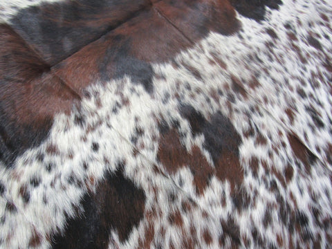 Crazy Speckled Tricolor Cowhide Rug Size: 7x6.7 feet M-1313