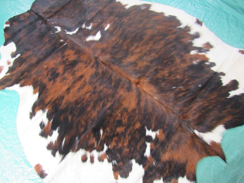 Small Tricolor Cowhide Rug Size: 6x4.7 feet M-1314