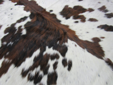 Tricolor Cowhide Rug Size: 6 1/2' X 6' Speckled Brown And White Cowhide Rug C-1374