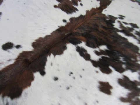 Tricolor Cowhide Rug Size: 6 1/2' X 6' Speckled Brown And White Cowhide Rug C-1374