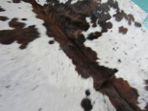 Tricolor Cowhide Rug Size: 6 1/2' X 6' Speckled Brown And White Cowhide Rug C-1374