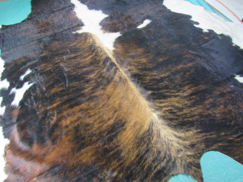 Gorgeous & Huge Tricolor Cowhide Rug Size: 8x7.5 feet M-1329