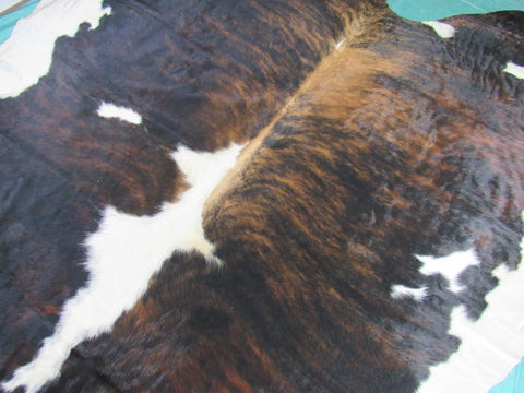 Gorgeous & Huge Tricolor Cowhide Rug Size: 8x7.5 feet M-1329