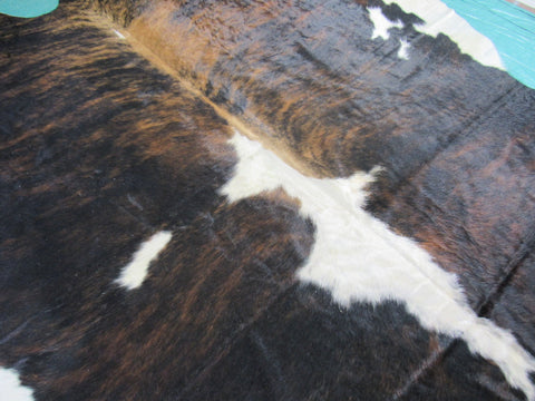 Gorgeous & Huge Tricolor Cowhide Rug Size: 8x7.5 feet M-1329