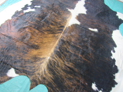 Gorgeous & Huge Tricolor Cowhide Rug Size: 8x7.5 feet M-1329