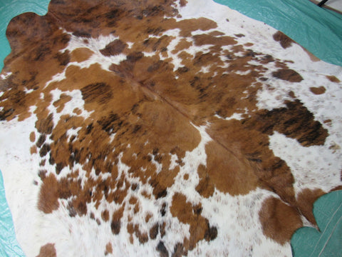 Light Tone Tricolor Cowhide Rug Size: 6.5x6 feet M-1332