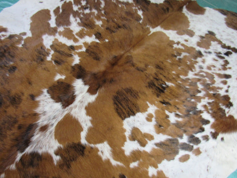 Light Tone Tricolor Cowhide Rug Size: 6.5x6 feet M-1332