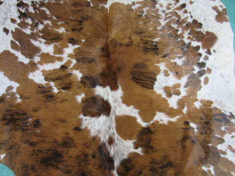 Light Tone Tricolor Cowhide Rug Size: 6.5x6 feet M-1332