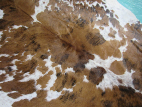 Light Tone Tricolor Cowhide Rug Size: 6.5x6 feet M-1332