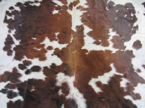 Dark Brown Tricolor Cowhide Rug Size: 7x6.2 feet M-1333