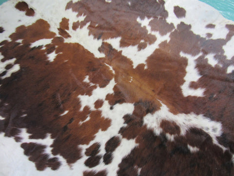 Dark Brown Tricolor Cowhide Rug Size: 7x6.2 feet M-1333