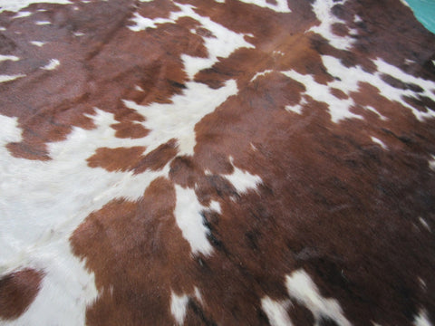 Dark Brown Tricolor Cowhide Rug Size: 7x6.2 feet M-1333