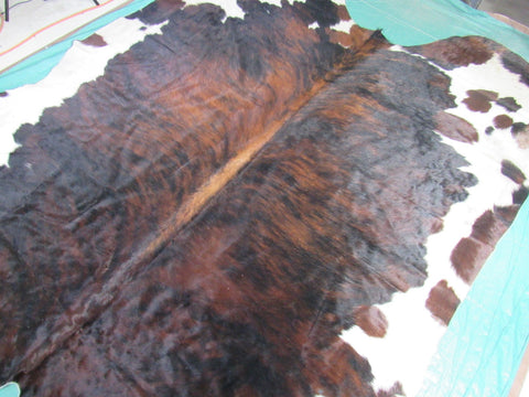 Huge Tricolor Cowhide Rug Size: 8.5x7 feet M-1334