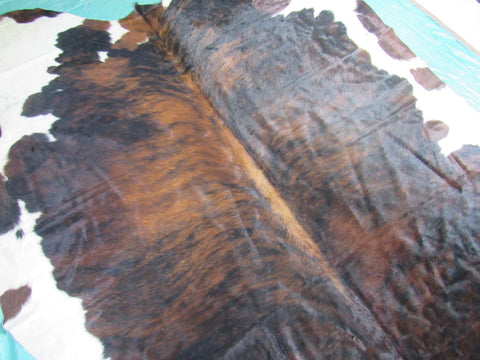 Huge Tricolor Cowhide Rug Size: 8.5x7 feet M-1334